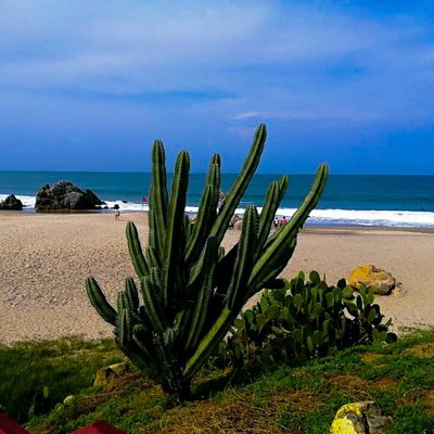 playa de zicatela 