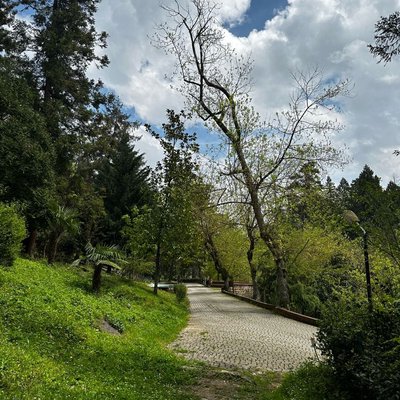 Yalova Termal Orman / Yalova Thermal Forest