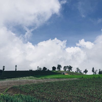 Field Brakseng in the morning