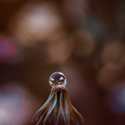 water Droplet