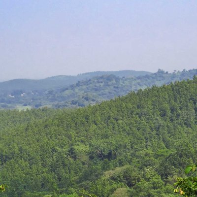 JHILIMILI FOREST RANGE 
