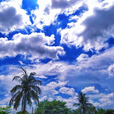 In The World Of Sky!💙