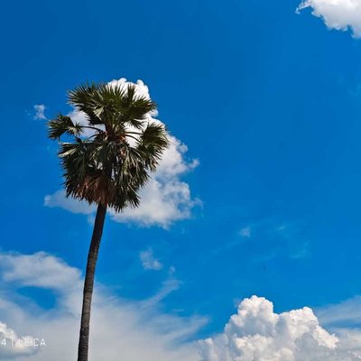 A beautiful day