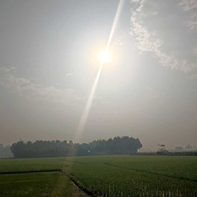 Nature 🍄‍🟫