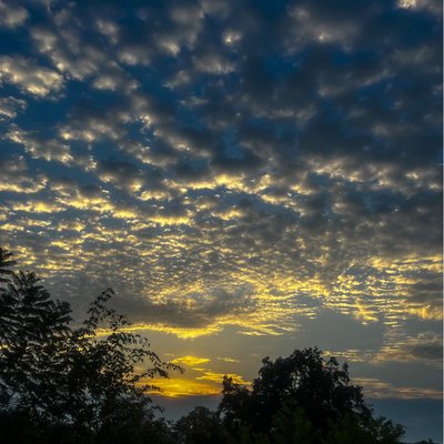 morning view 💛🧡