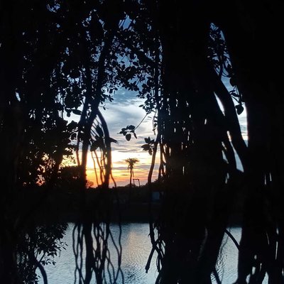 sunset 