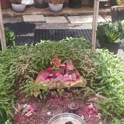 Harvesting festival/pooja