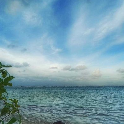 Laut