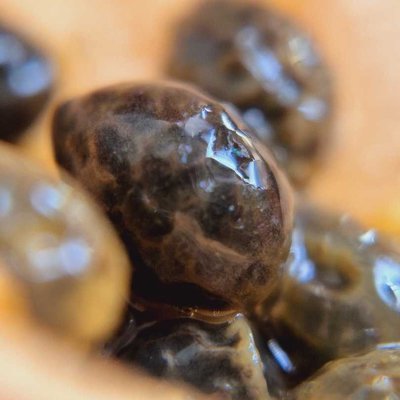 macro