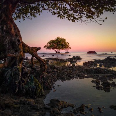 Framing Photography 