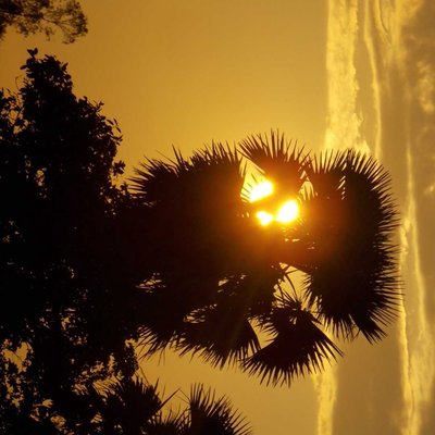 Beautiful full sun set 