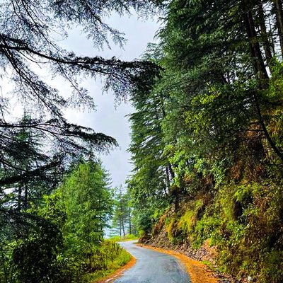 Roads like these >>>