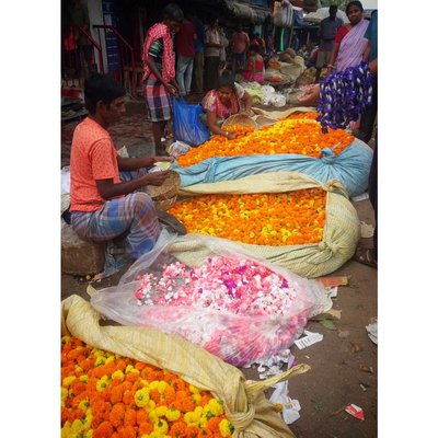 Mullick Ghat Flower Market 