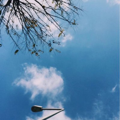 dream