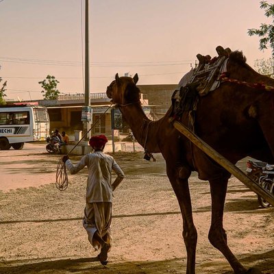 Rajasthan 