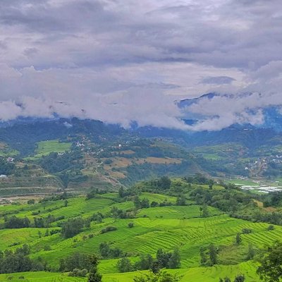 Green fields of Pharping