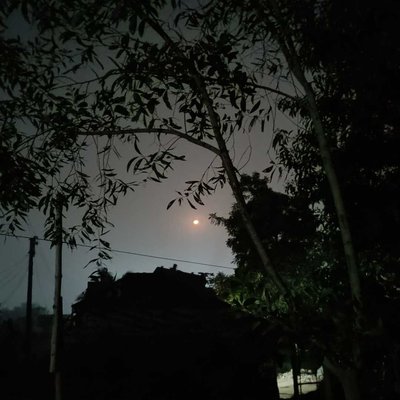 nature of beauty