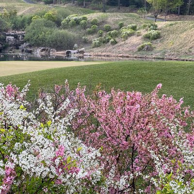 spring