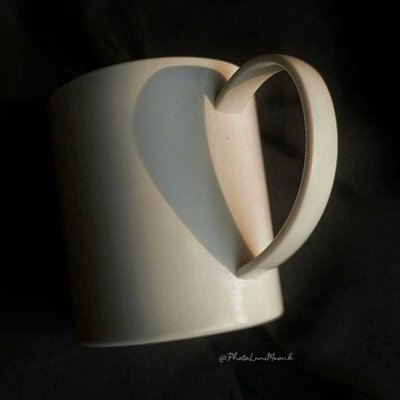 "Still Life Photography" in black and white theme