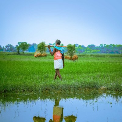 indian farmer ♥️