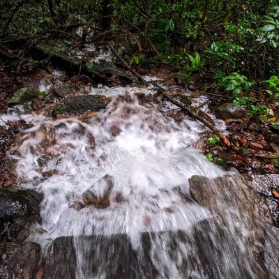 paithalmalakannur