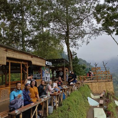Ngadas Coffee part 2