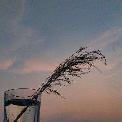 Creative photography📷