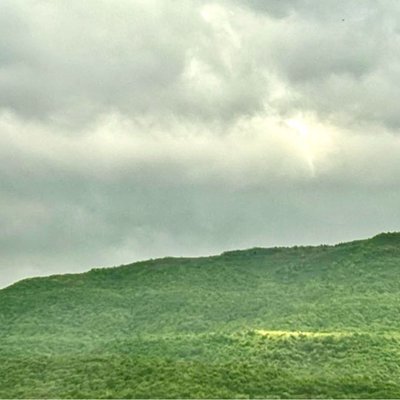 Greenery after rains