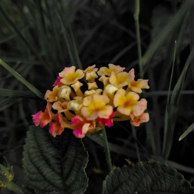 💐