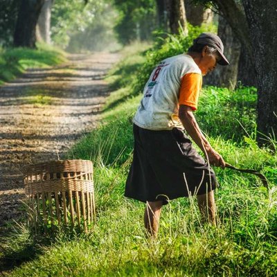 grass finder