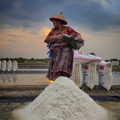 petani garam