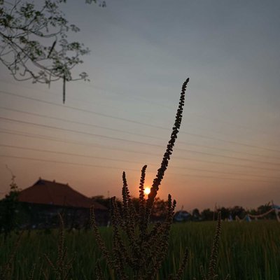  SENJA DIJALAN PULANG