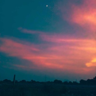 Evening View