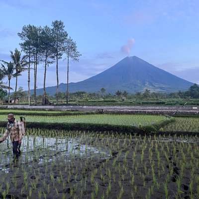 Farming