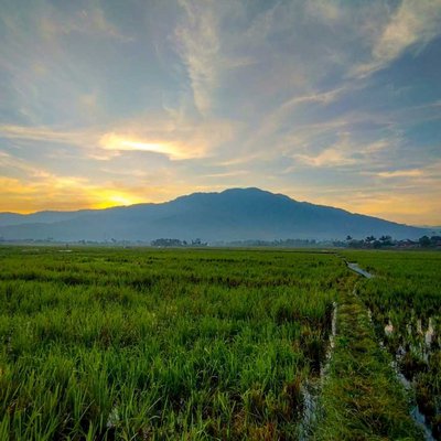 Pemandangan di Cibatu, Garut