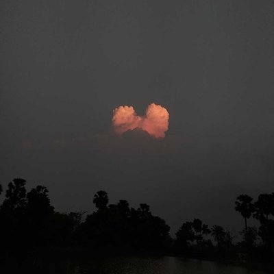 Nature Photography