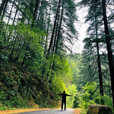 Amidst those greens…