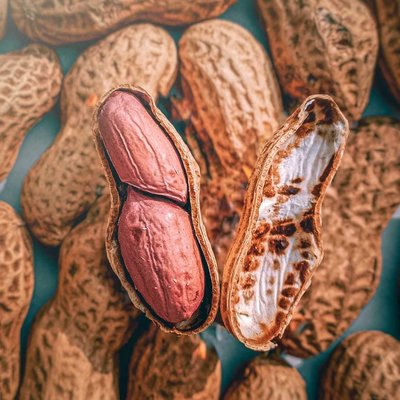 Peanut Photography 