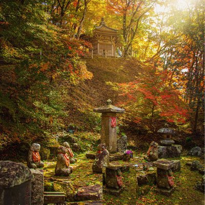 autumn in japan
