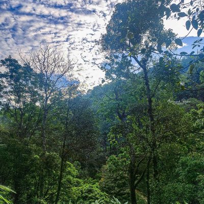 In harmony with nature