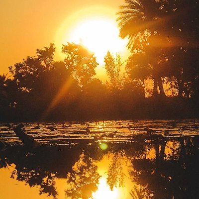 golden hour 