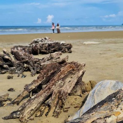 Tanjung Aru Beach