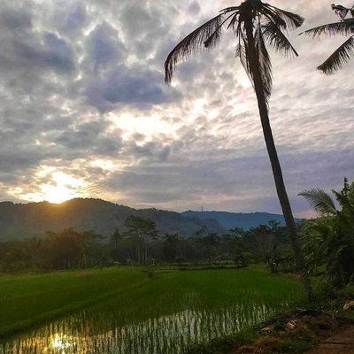 Sunrise 