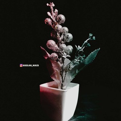 Flower Pot