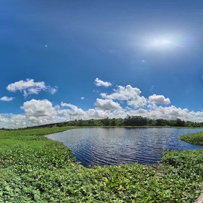 360° Nature