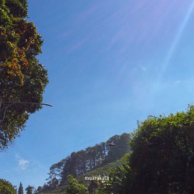 Blue Sky