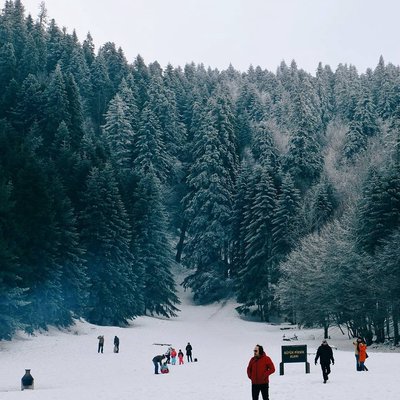 Abant🌲🏔️