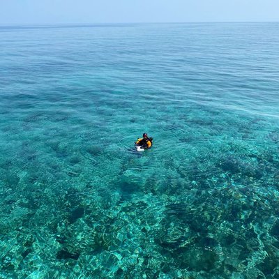 Cayo Guillermo 