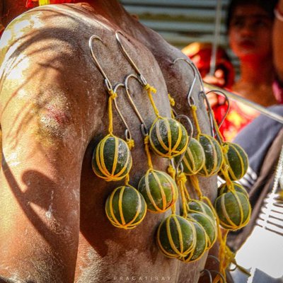 VEL VEL FESTIVAL 