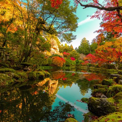 autumn colors 